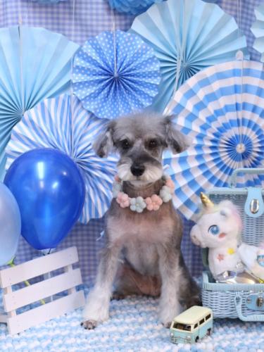 20231118ラーラちゃん